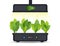 Portable hydroponic aeroponic system for eco-friendly growing of green lettuce, vegetables and herbs. With automatic