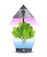 Portable hydroponic aeroponic system for eco-friendly growing of green lettuce, vegetables and herbs. With automatic