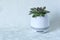 Portable mini speaker in the form of a flowerpot on a white background. Unusual gift