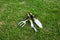 Portable multi-function gardening tool weeder rooter