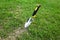 Portable multi-function gardening tool weeder rooter