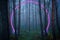 Portal in the form of a neon glow in a foggy forest
