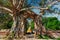 The portal of time at Ayutthaya