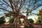 The portal of time at Ayutthaya