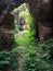 Portal to the Hidden World: The Visible Cave Entrance