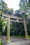 Portal of wood gate temple, Torii of Meiji Jingu Shrine in Central Tokyo (Shibuya), Japan. Meiji Jingu Shrin is the Shinto shrine