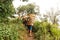 Porters that carry luggage of tourists walking to Doi Mon Chong, Chiang Mai