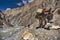 Porters, climbers and locals from Shimshal Village 3100m climb the Karakoram Mountains or to Upper Shimshal on an extremely danger