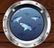 Porthole and sharks