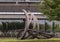 A portion of an abstract outdoor sculpture titled `Leaves` by Matthew Placzek outside Methodist Richardson Medical Center.