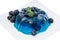 Portion of Blueberry Jello on white