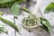 Portion of dried Ramson on a wooden spoon