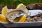 Portion of fresh open oysters with lemon