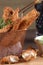 portion of fried fish, fried chicken strips inside metal basket tasty snack