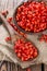 Portion of Goji Berries (Wolfberry)