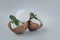 Portion ice cream served in coconuts with mint leaves