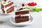 Portion of layered creamy fruit cake with in close up view. Cherry cake with chocolate. Chocolate cake. Mint decoration. Black