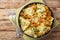 Portion of pasta triangoli stuffed with chanterelle mushrooms, onions and herbs close-up in a plate. Horizontal top view