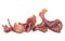 Portion of sliced and dried meat isolated on white background, front view. Pile of pork jerky pieces