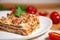 Portion of tasty italian lasagne served on white plate