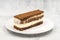 Portion tiramisu cake on stone background. Traditional world cuisine