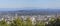 Portland Downtown Cityscape Mount Hood Panorama