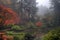 Portland Japanese Garden in the Fall