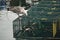 Portland, Maine, USA: A juvenile herring gull tries to get bait fish out of a lobster trap