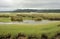 Portmeiron village on the River Dwyryd Estuary