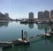 Porto Arabia on the artificial island of The Pearl, with a view of the Doha skyline in the background