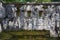 Portobelo Fortress in Panama, Province of Colon