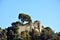 Portofino brown castle