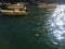 Portofino Italian village in Liguria region, Italy. Ducks, light, splendour and boats