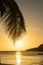 PortoMari palm tree Sunset Beach Curacao views