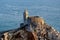 Portovenere, Church of St. Peter from the castle