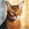 Portrait of an Abyssinian cat sitting beside a window. Closeup portrait of a beautiful Abyssinian cat at home. Portrait of a ruby