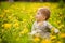 Portrait of adorable baby playing outdoor in the sunny dandelions field