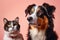 portrait of adorable cat and dog together. animal friendship. generative AI