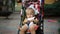 Portrait of adorable cute caucasian blond toddler boy sitting bright multicolored stroller and being rocked by mother