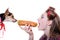 Portrait of adorable cute dog looking hungry at having fun eating a hot dog & happy smiling pinup beautiful funny blond girl