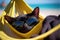 Portrait of an adorable lazy Bombay cat in sunglasses laying in a hammock on an ocean beach enjoying a holiday made with