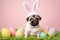 Portrait of adorable pug puppy wearing an easter bunny costume with bunny ears surrounded by easter eggs