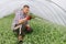 Portrait of an adult farmer sitting in a greenhouse with a hose in his hand and watering seedlings of vegetables with a serious