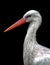 Portrait of an adult white stork - Nahaufnahme eines erwachsenen WeiÃŸstorches Ciconia ciconia