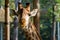 Portrait of an African giraffe  Giraffa camelopardalis,  an African even-toed ungulate mammal, the tallest living terrestrial