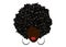 Portrait African Women , dark skin female face with hair afro and ethnic traditional curly, isolated , hair style concept