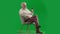 Portrait of aged bearded man on chroma key green screen. Full shot senior man sitting on chair talking by video call on