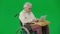 Portrait of aged disabled man on chroma key green screen. Senior man sitting in wheelchair with laptop on the pillow