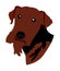 Portrait of Airedale Terrier had vector illustration isolated. Big terrier dog.