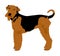 Portrait of Airedale Terrier vector.